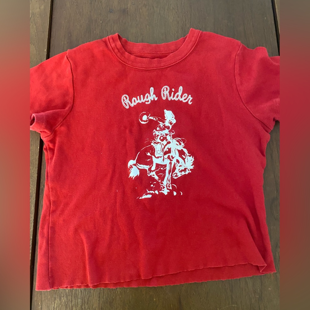Rough rider brandy Melville crop top